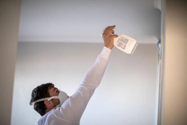 Best Mold Removal Company Near Me  in Bastrop, LA