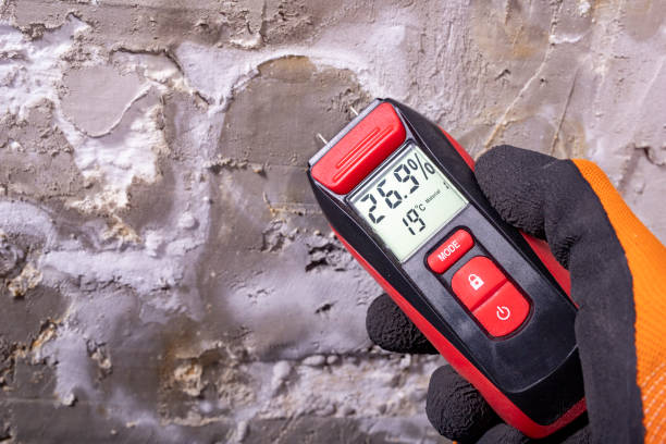Best Fast Mold Removal  in Bastrop, LA