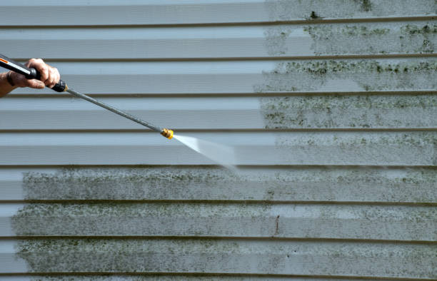 Best Mold Damage Repair  in Bastrop, LA